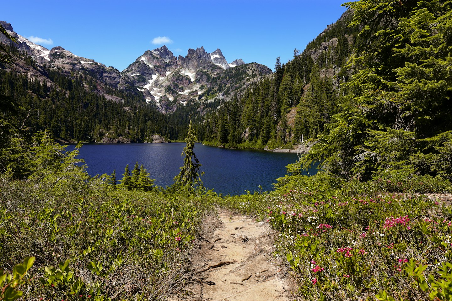 Ein Wanderweg führt zu einem Bergsee und Wald.